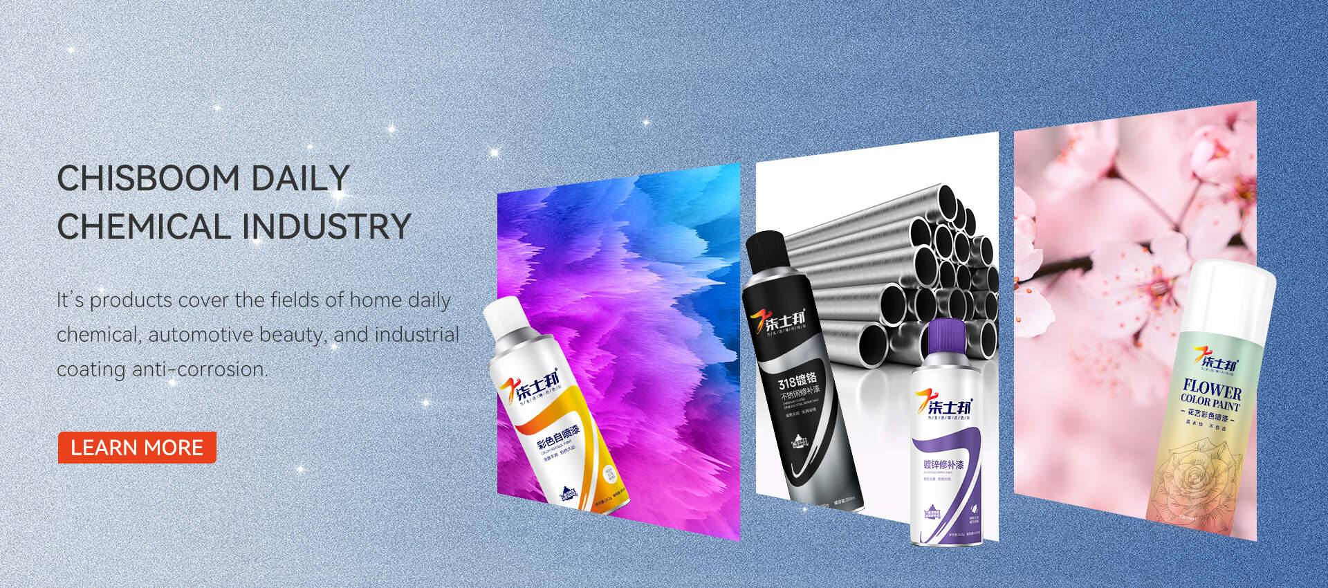 Aerosol Auto-Spray Poena Supplier